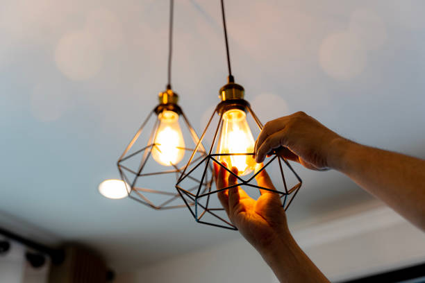 Best Home Electrical Repair  in Prairie Du Chien, WI