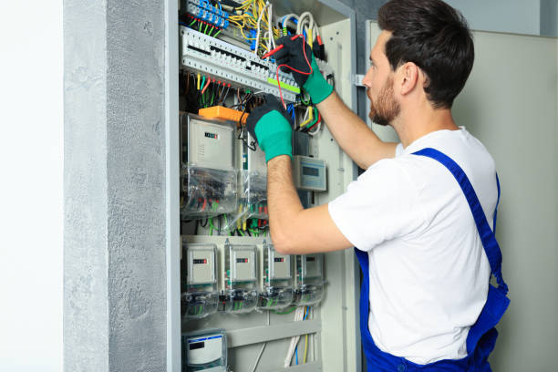 Best Local Electrician Companies  in Prairie Du Chien, WI