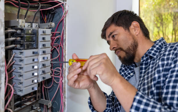 Best Electric Panel Repair  in Prairie Du Chien, WI